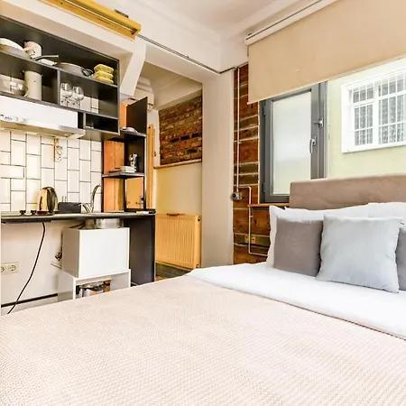 Cozy Flat 500 M Away From Istiklal Street 伊斯坦布尔